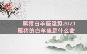 属猪白羊座运势2021 属猪的白羊座是什么命